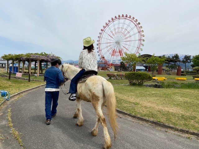 乗馬体験