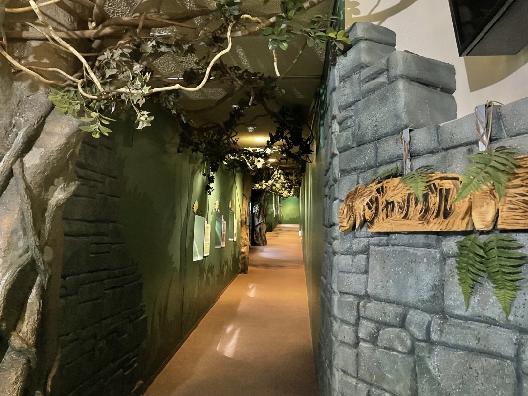 ジャングルコーナー