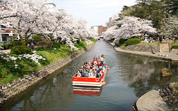 櫻花盛開的松川遊覽船（富山市）