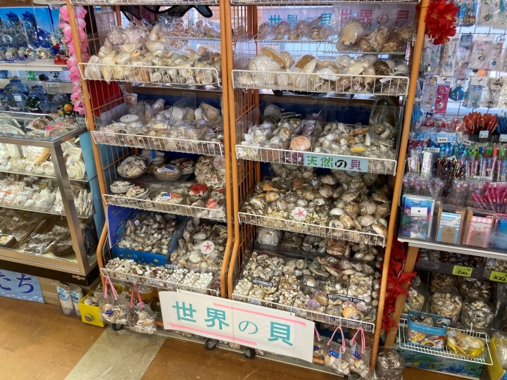 魚津水族館　売店