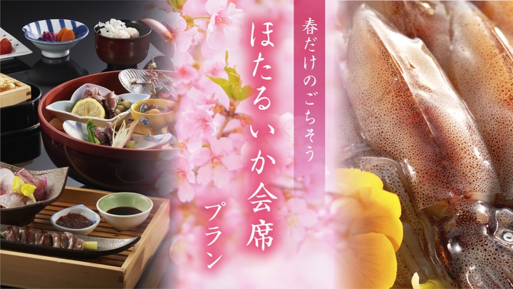 富山 ほたるいか