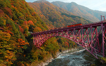 Kurobe Gorge Trolley Trains