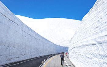 Tateyama Kurobe Alpine Route“Snow Corridor”